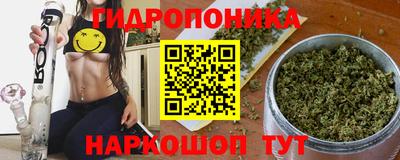 индика Чапаевск