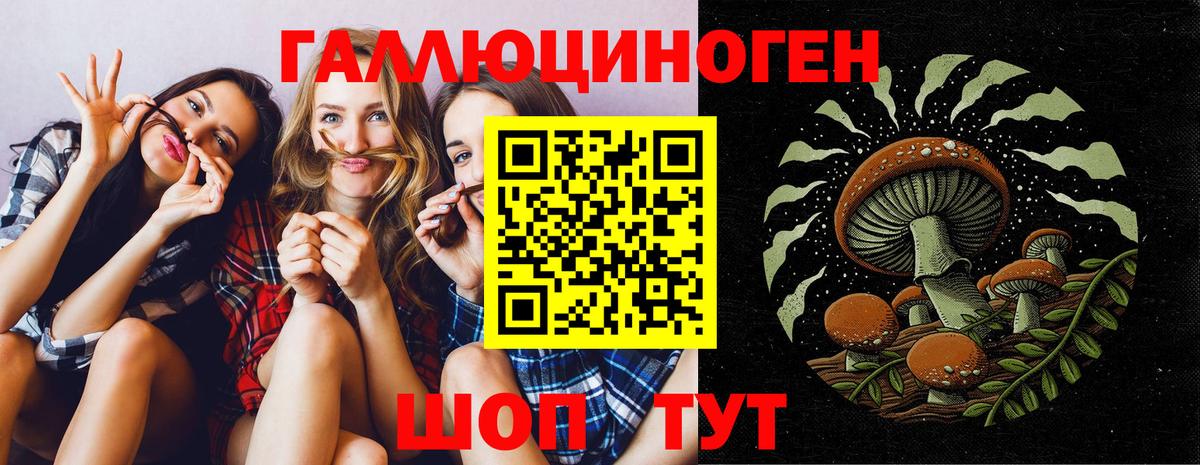 Северобайкальск  Галлюциногенные грибы прущие грибы  Вход с VPN 